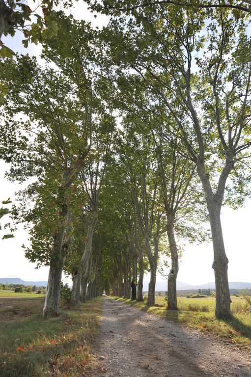 مبيت وإفطار Conqueyrac Domaine De Ceyrac المظهر الخارجي الصورة