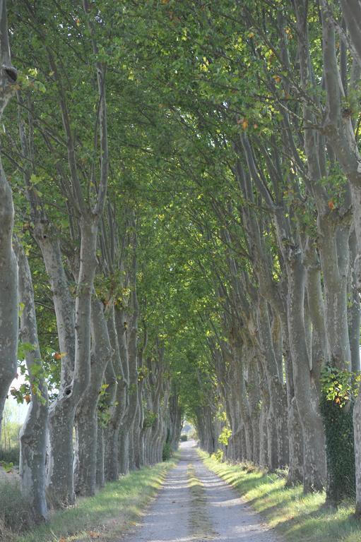 مبيت وإفطار Conqueyrac Domaine De Ceyrac المظهر الخارجي الصورة